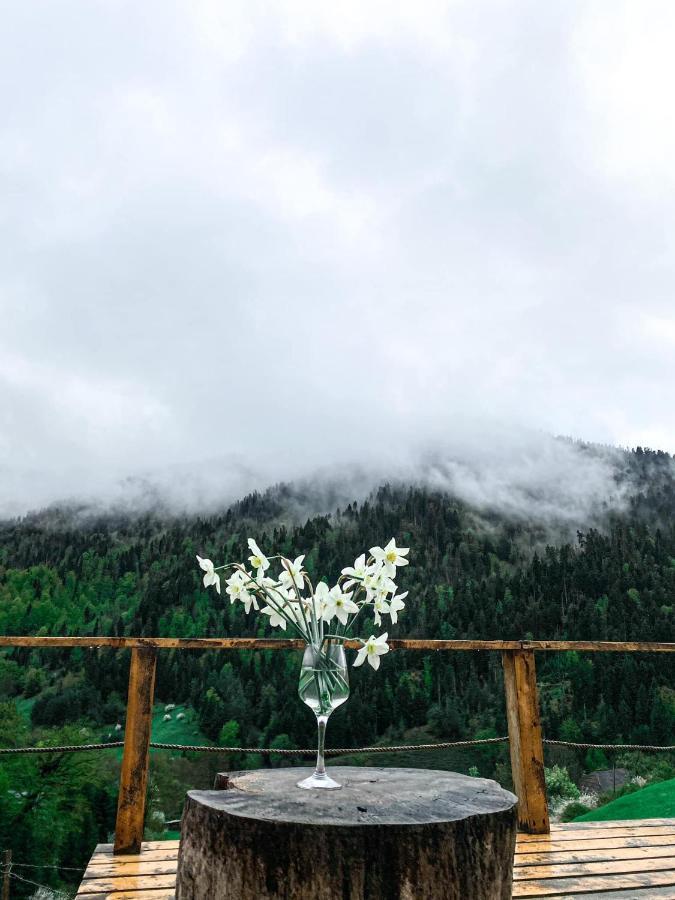 Mitarbi Silence - Cozy Holiday Cottages In Mountains Боржомі Екстер'єр фото