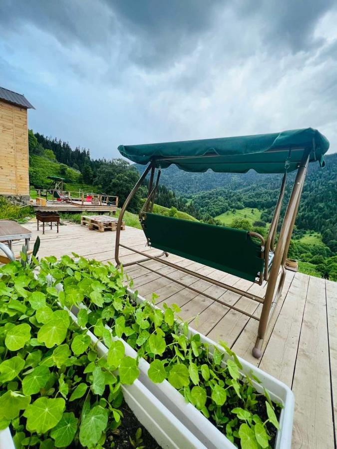 Mitarbi Silence - Cozy Holiday Cottages In Mountains Боржомі Екстер'єр фото