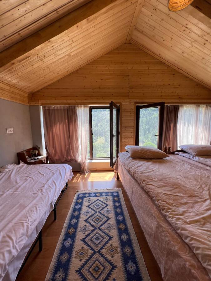 Mitarbi Silence - Cozy Holiday Cottages In Mountains Боржомі Екстер'єр фото