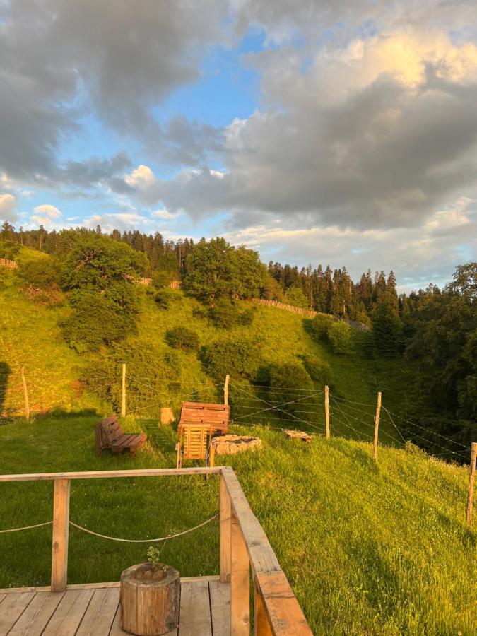 Mitarbi Silence - Cozy Holiday Cottages In Mountains Боржомі Екстер'єр фото